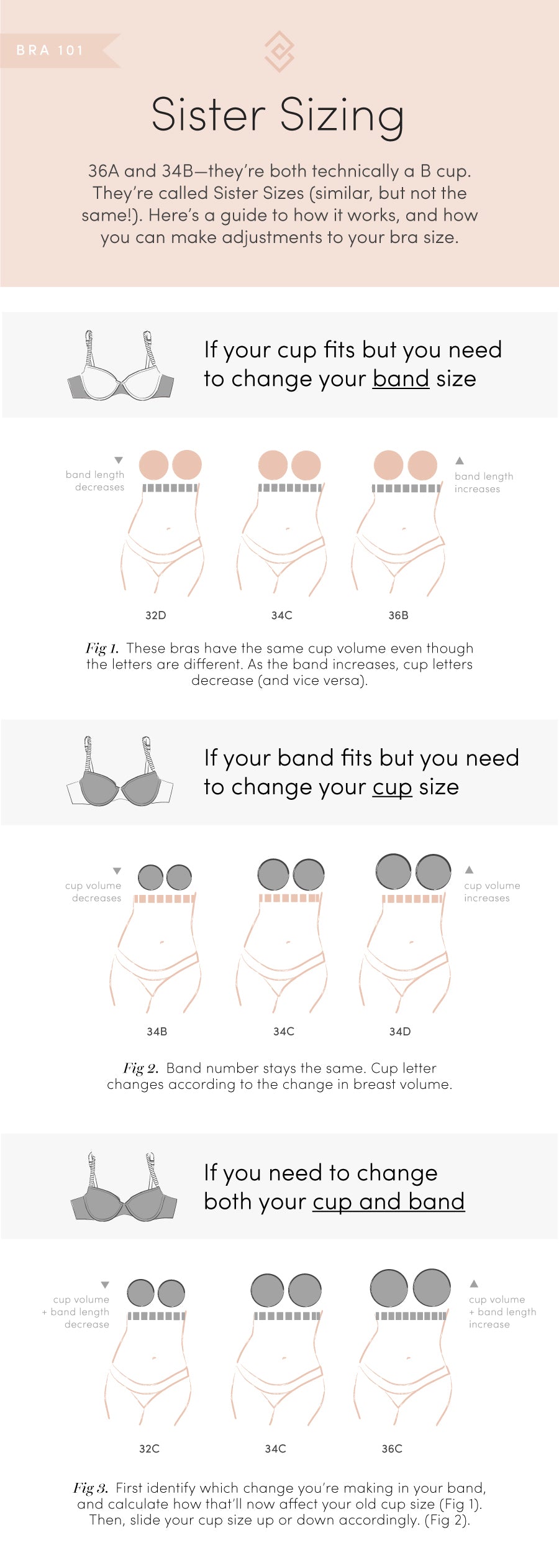 how to find your bra sister size