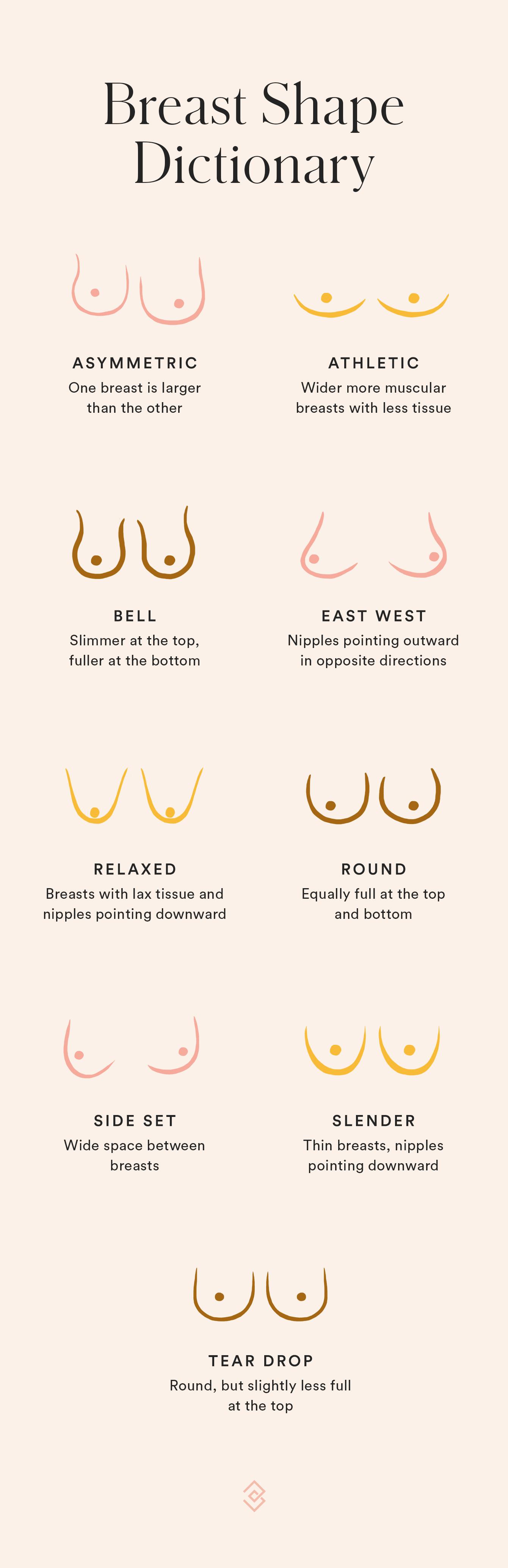 there are 9 main breast shapes: asymmetric, athletic, bell shaped, relaxed, east west, round, side set, slender, and tear drop